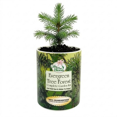 Evergreen Tree Garden in Eco-Friendly Grocan