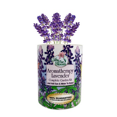 Aromatherapy Lavender Garden in Eco-Friendly Grocan