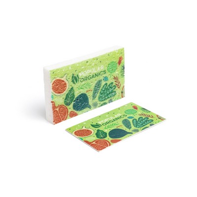 Compressed Kitchen Sponges